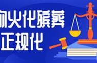 宠物葬礼服务的未来：火化行业的正规化与合法化之路