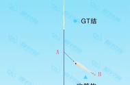 独家分享：串钩钓吹筒钓组实战指南