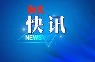 宠物鼠登台，上海动物园鼠年生肖文化盛宴来袭