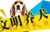 天津建成区禁养烈性犬种类详解