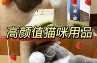 宠物猫必备！京东萌萌鸭用品旗舰店推荐清单