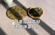 散茶和饼茶：白茶收藏价值的真相是什么？