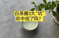 一次性告诉你，白茶圈的三个大坑是什么？