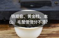 研茶10：如何区分铁观音、黄金桂、本山茶和毛蟹茶？