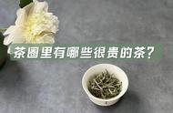 茶叶收藏家必看：哪些茶叶属于高价品？