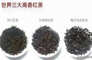 一窥究竟：世界三大高香红茶的独特之处