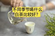 春夏秋冬，白茶的选择与饮用建议