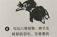 从零开始：国画八哥绘画教程