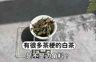 白茶的芽头真的更好吗？为何叶片大、茶梗粗的白茶更甜？