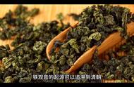 探索茶叶世界：铁观音的制作过程