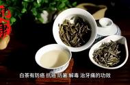 茶叶科普：花茶、白茶、乌龙茶与紧压茶的区别