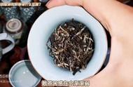 散茶与饼茶：老白茶的两种不同形态