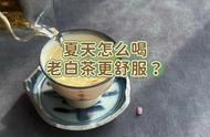 夏日解暑良方：老白茶的四种冲泡方法，你更喜欢哪一种？