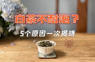 揭秘白茶泡不耐久的五个真相，你踩到了哪个误区？