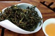 青茶（乌龙茶）：你不可不知的五大知识