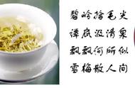 揭秘：为何某些茉莉花茶被冠以飘雪之名？