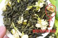 茉莉花茶：北方人更偏爱哪种？