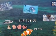 为后代创造美丽海洋，坦桑尼亚珊瑚培育行动