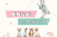 别再误导了！猫咪洗澡次数并非每2个月一次