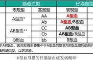 猫咪“相亲”竟然要看血型？