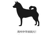 探寻中华田园犬的血统之谜