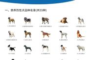 了解文明养犬之道，蜀黍为你解答疑问