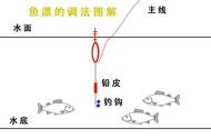 一学就会的台钓调漂方法：图示详解