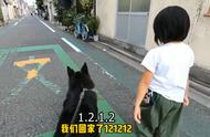 德牧犬的守护天使：确保小主人安全上学