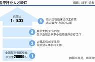 深度剖析：宠物医疗成本高、医生短缺与专业度待提升