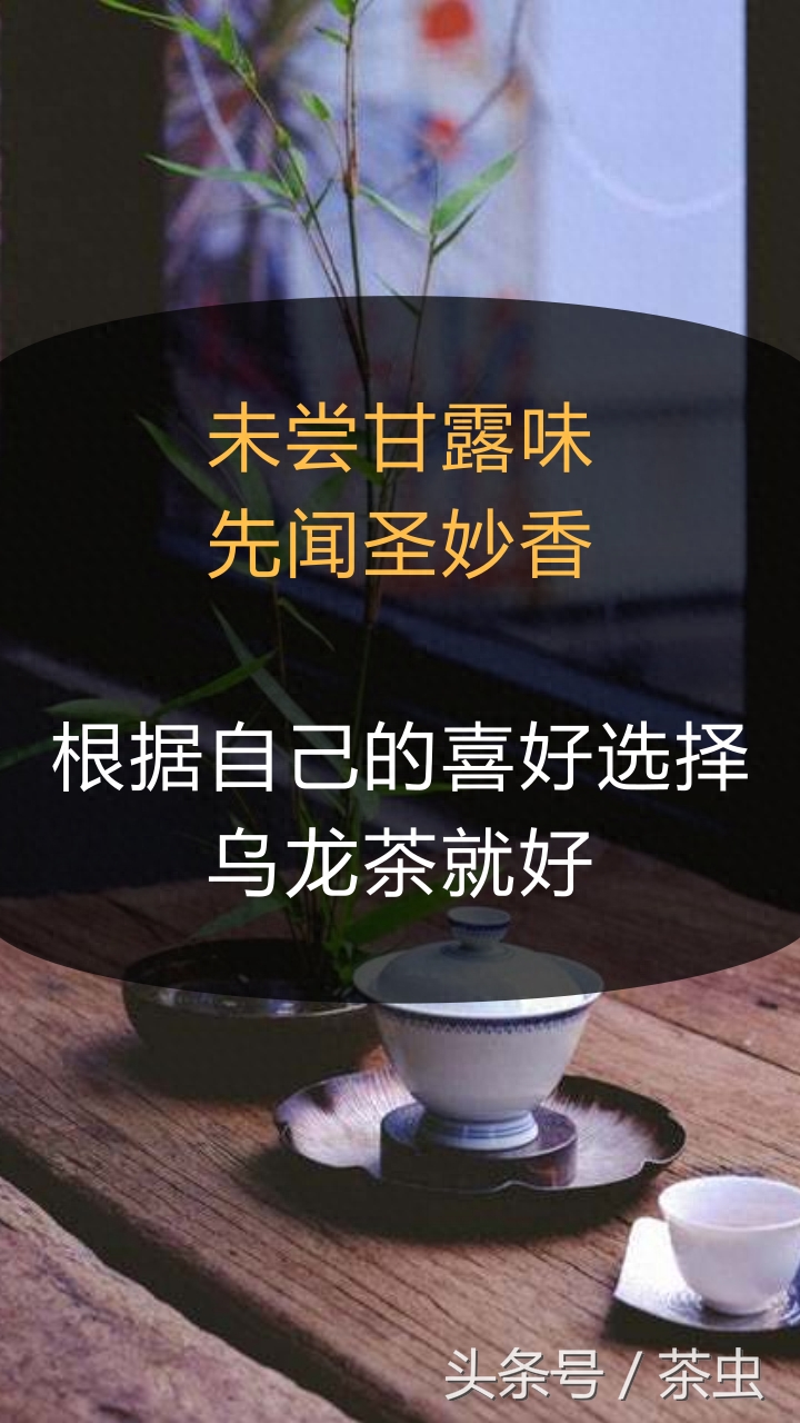 乌龙茶究竟有哪些？