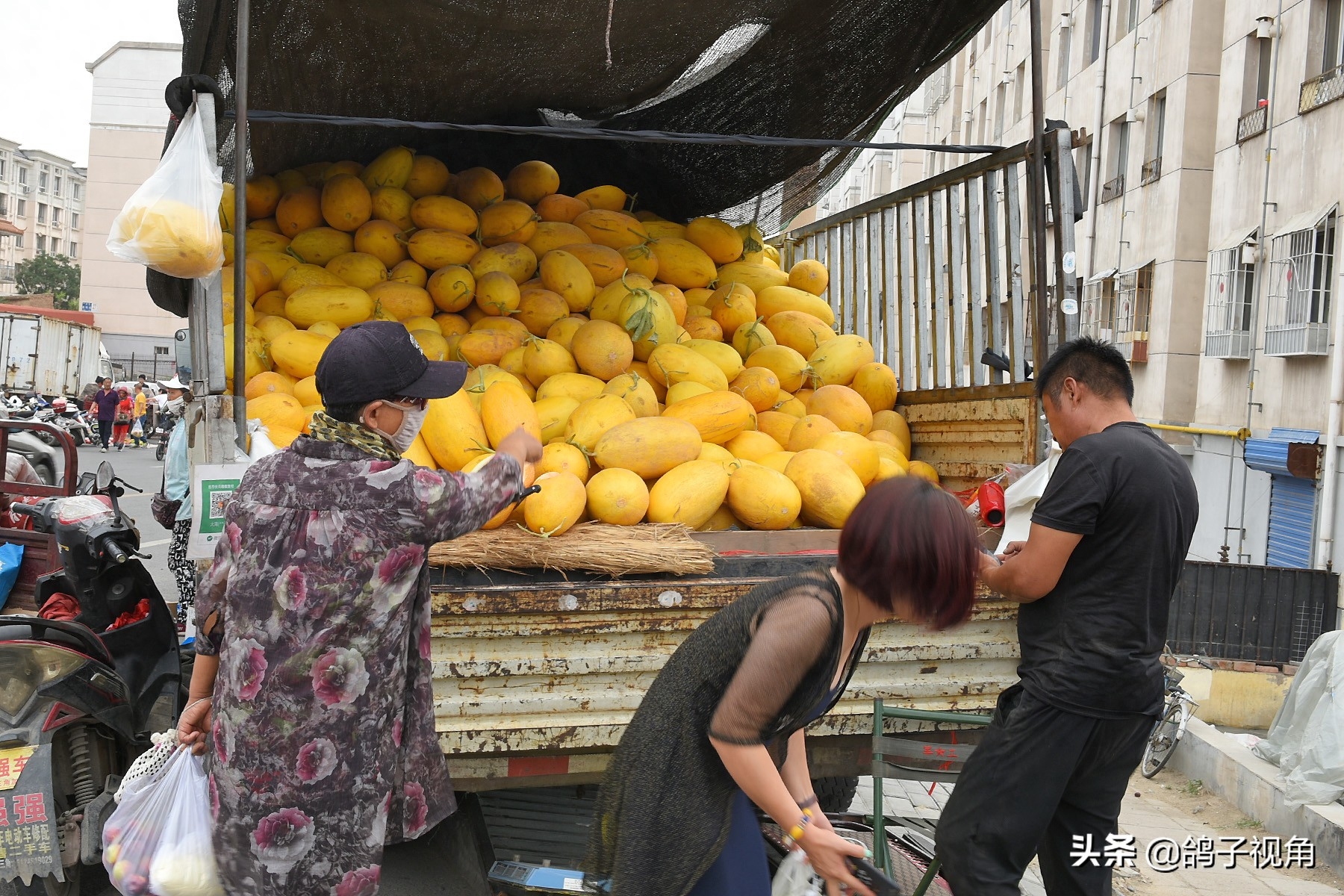 内蒙古最大花鸟市场：花鸟虫鱼肉蛋奶啥都有，但这些东西请别买