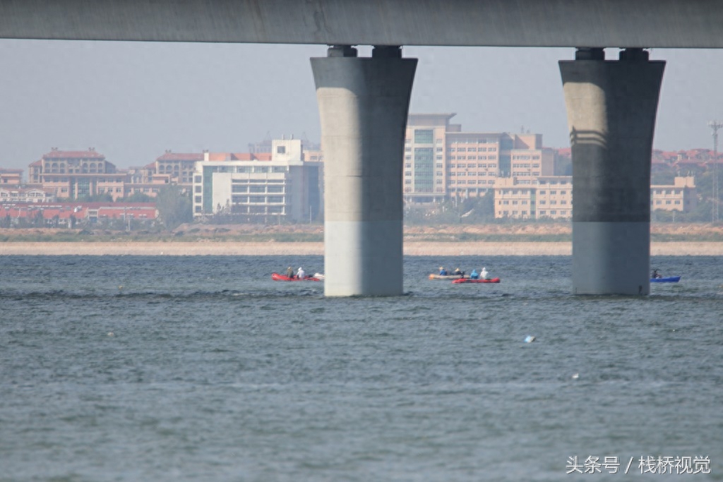 秋天钓鱼好时候！青岛胶州湾3斤重大鲈鱼上钩光鱼更多高手钓满箱