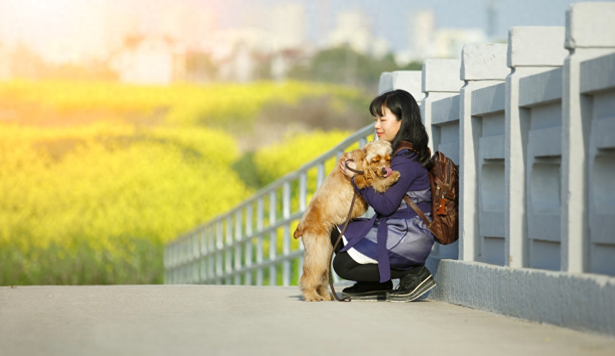 图虫人文摄影：宠物摄影-可卡犬